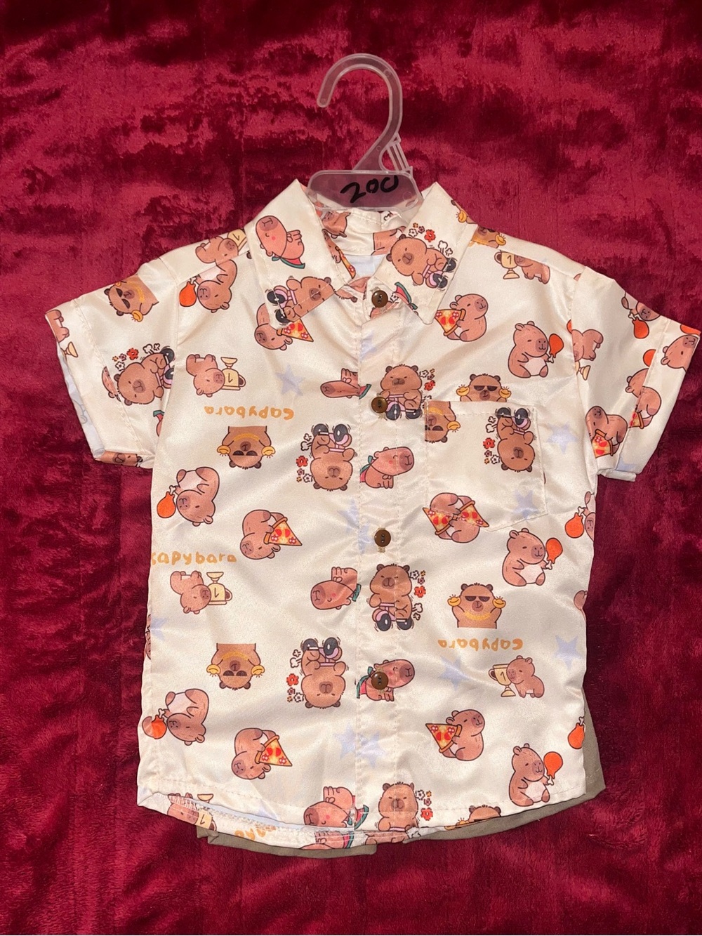 2t matching Capybara set